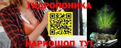сатива Волжский