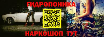 сатива Волжский