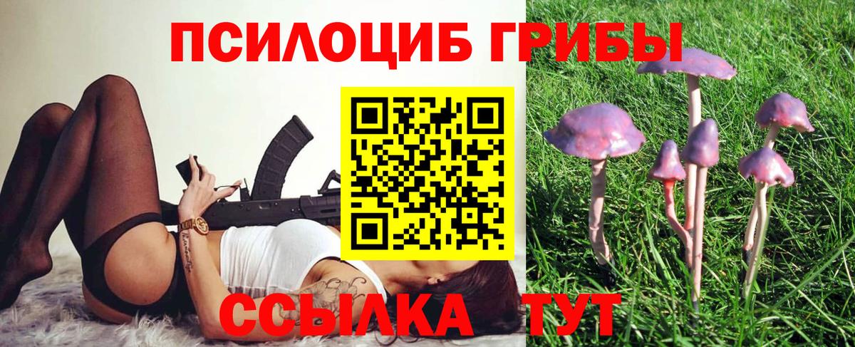 Галлюциногенные грибы мицелий Троицк