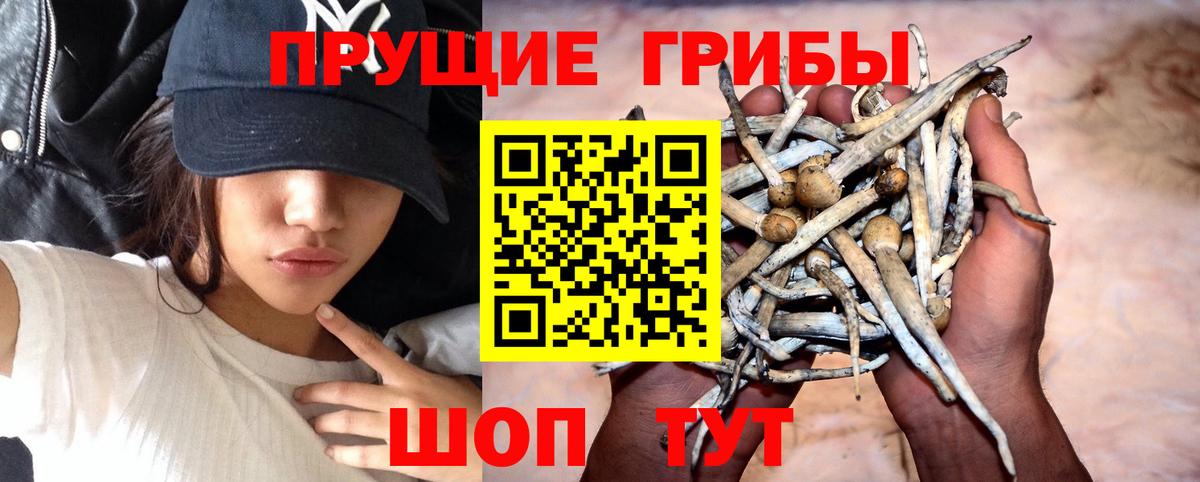 Псилоцибиновые грибы мухоморы  Вход с VPN  Троицк 